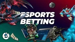 toto262 Esports Betting Hub